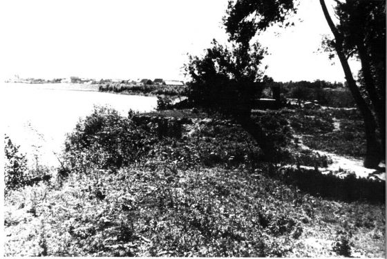 Gaj slutnje - put kojim su logoraši sprovođeni prema skeli, a zatim na likvidaciju u Donju Gradinu, jun 1945.