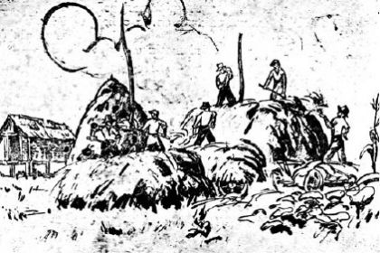 Данијел Озмо: Опљачкано сено убијених сељака