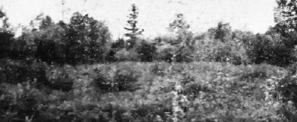 Sib - Partizansko groblje</p>

<p class