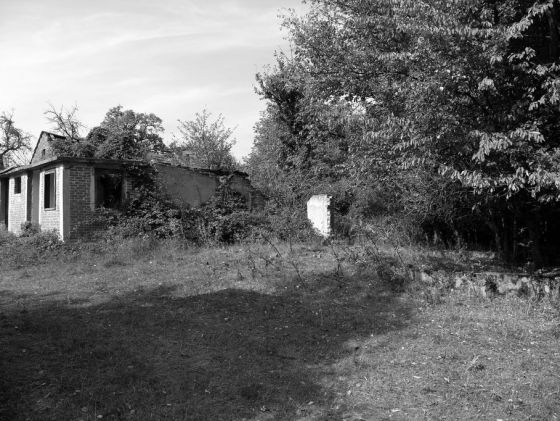 Vila bilogorska 2009. godine