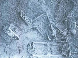 Један од скелета побијених Срба нађених на стрелишту Пролог 1991. године