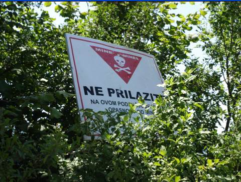 Мине