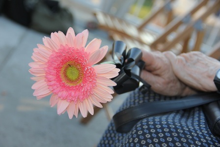 NJEGOVIC_PHOTOGRAPHY.JPGr.JPG