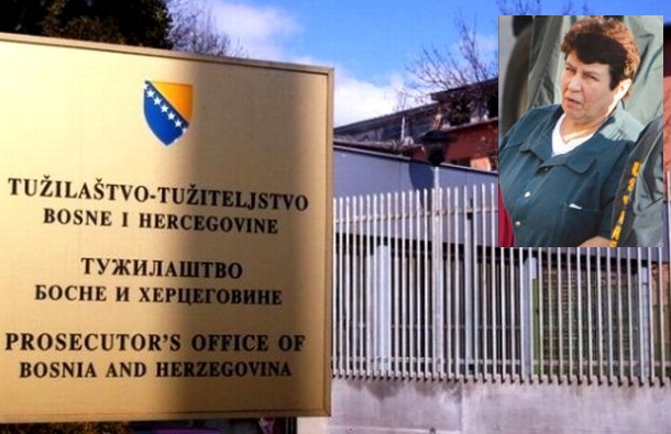 Albina-Terzic.jpg