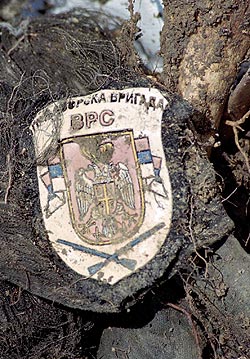 Eshumacija-vr.jpg