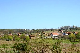 piskavica.jpg
