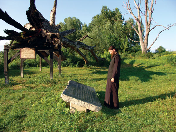 w.jasenovac.jpg