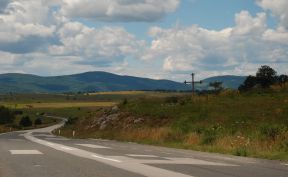 Petrovačka cesta