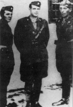 Tri koljača